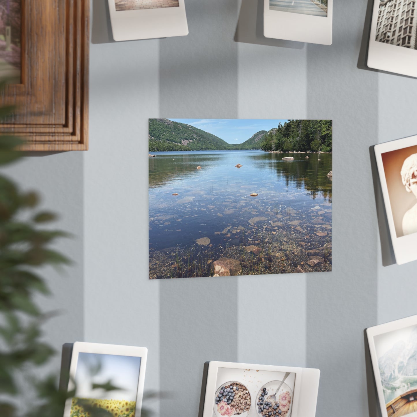 Unframed Prints