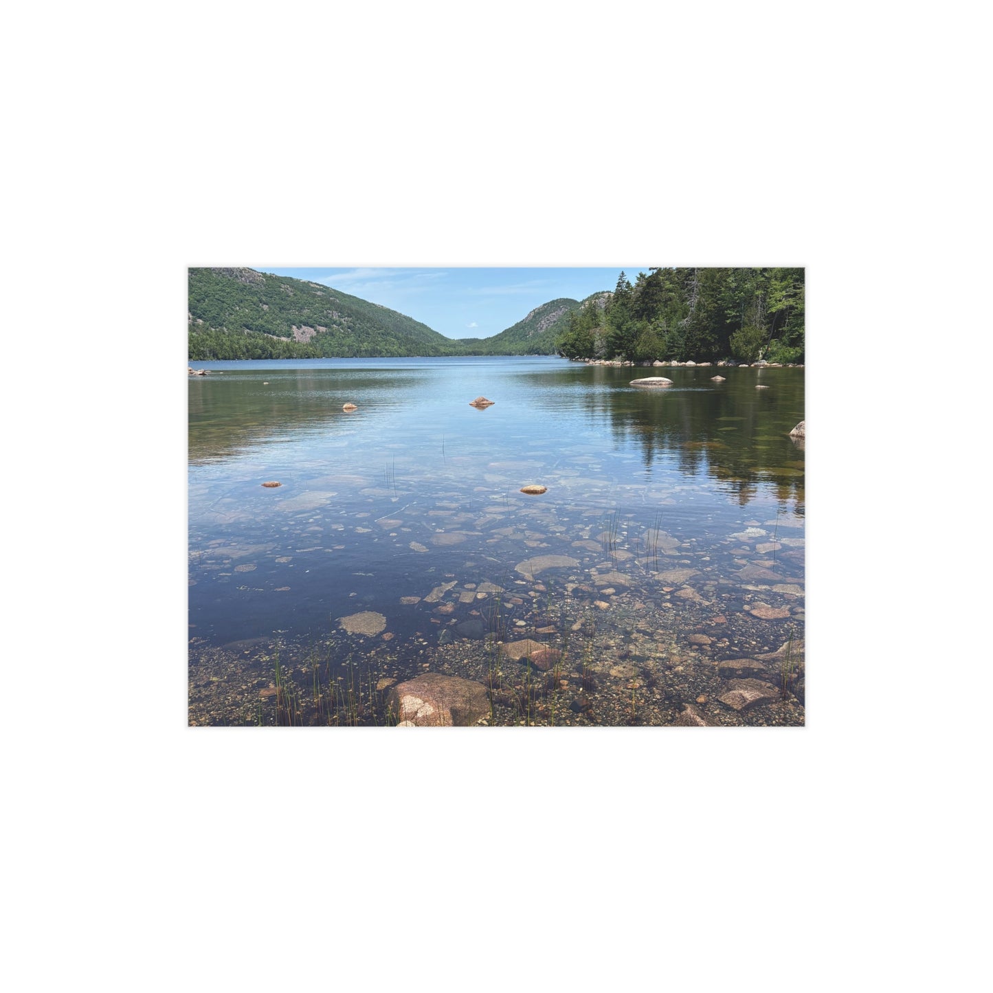 Unframed Prints